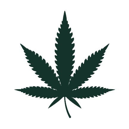 s and h green life logo icon